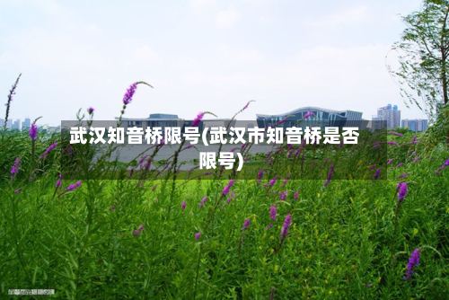 武汉知音桥限号(武汉市知音桥是否限号)