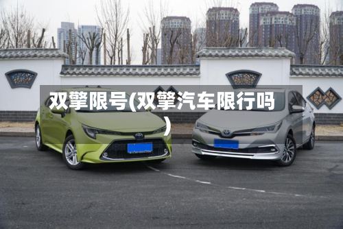 双擎限号(双擎汽车限行吗)