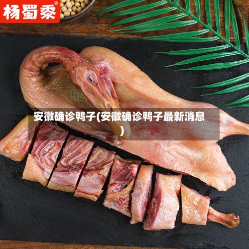 安徽确诊鸭子(安徽确诊鸭子最新消息)-第3张图片