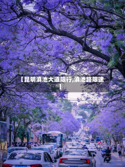 【昆明滇池大道限行,滇池路限速】-第3张图片