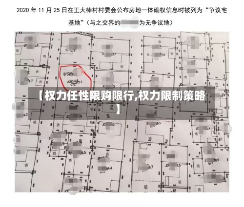 【权力任性限购限行,权力限制策略】-第2张图片