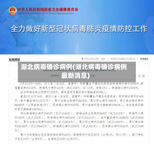 湖北病毒确诊病例(湖北病毒确诊病例最新消息)