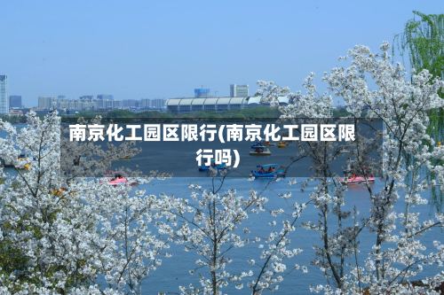 南京化工园区限行(南京化工园区限行吗)