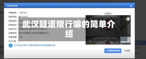 武汉隧道限行嘛的简单介绍-第2张图片
