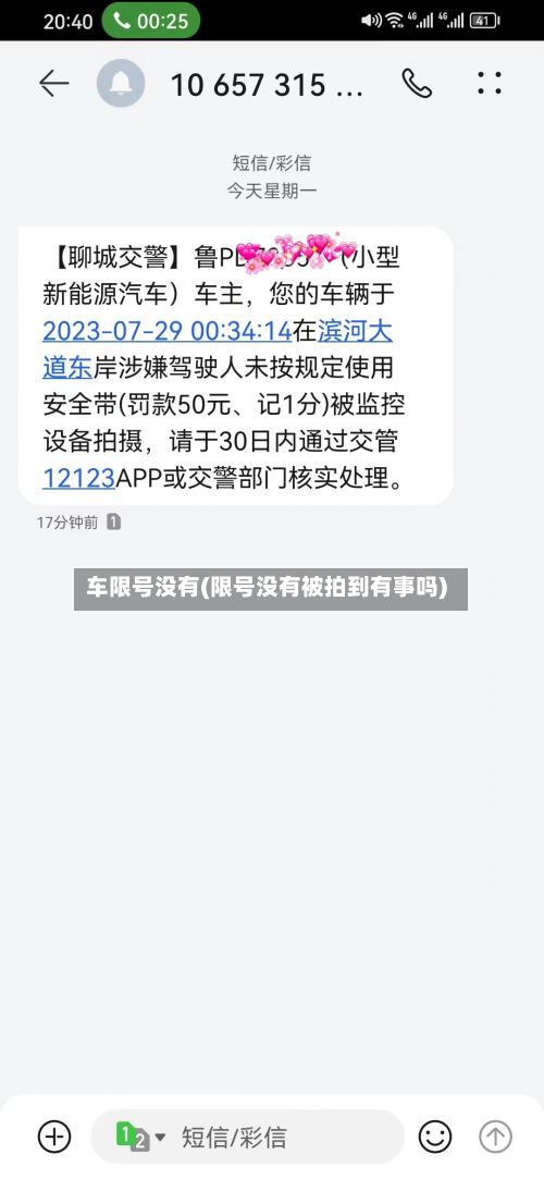 车限号没有(限号没有被拍到有事吗)-第3张图片