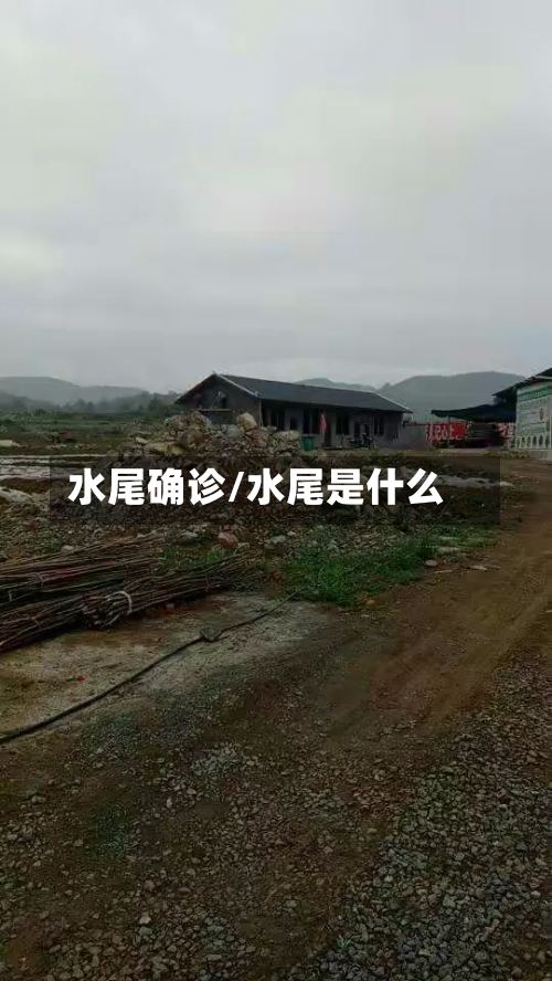 水尾确诊/水尾是什么-第2张图片