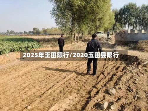 2025年玉田限行/2020玉田县限行-第3张图片