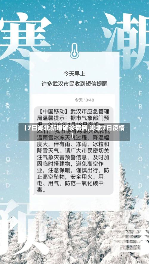 【7日湖北新增确诊病例,湖北7日疫情】-第2张图片