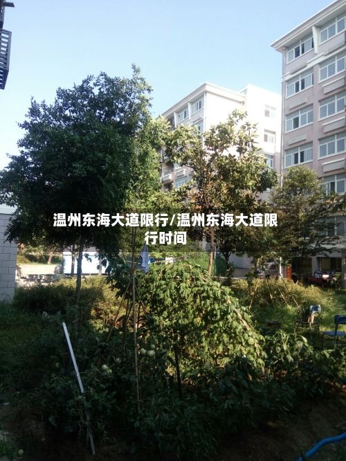 温州东海大道限行/温州东海大道限行时间-第2张图片
