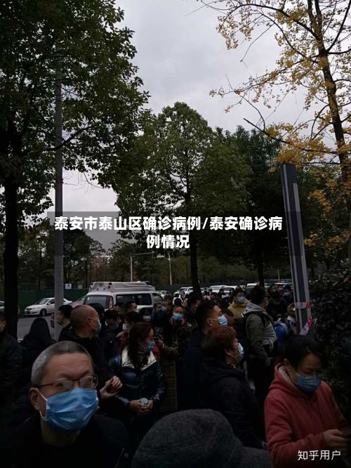 泰安市泰山区确诊病例/泰安确诊病例情况