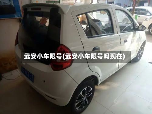 武安小车限号(武安小车限号吗现在)