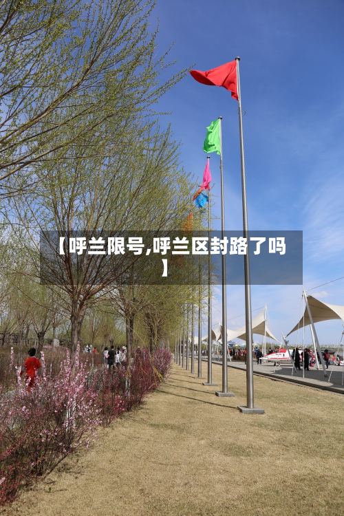 【呼兰限号,呼兰区封路了吗】