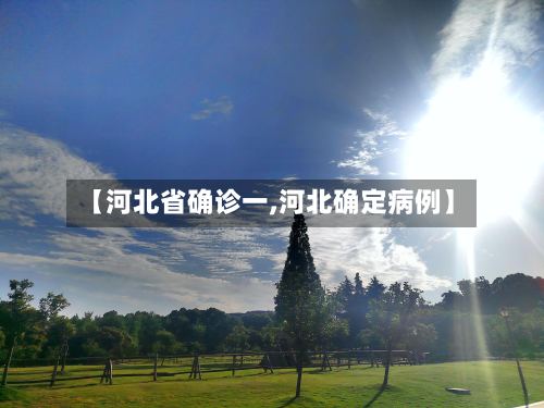 【河北省确诊一,河北确定病例】