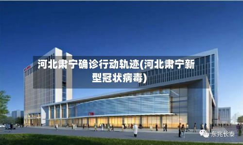 河北肃宁确诊行动轨迹(河北肃宁新型冠状病毒)