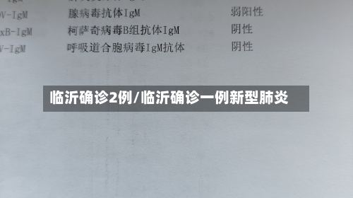 临沂确诊2例/临沂确诊一例新型肺炎-第3张图片