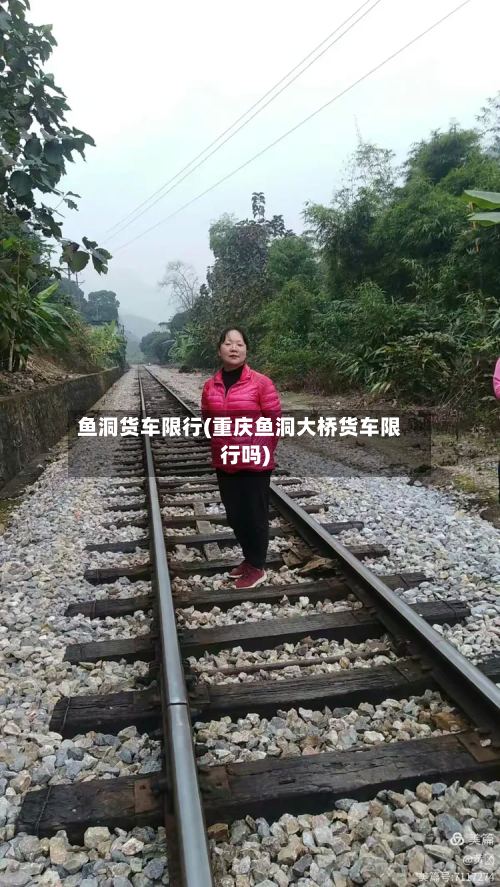 鱼洞货车限行(重庆鱼洞大桥货车限行吗)-第2张图片