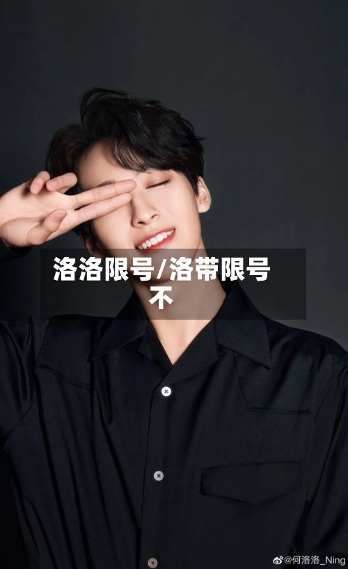 洛洛限号/洛带限号不