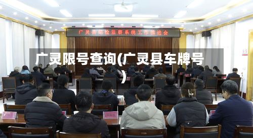 广灵限号查询(广灵县车牌号)-第3张图片