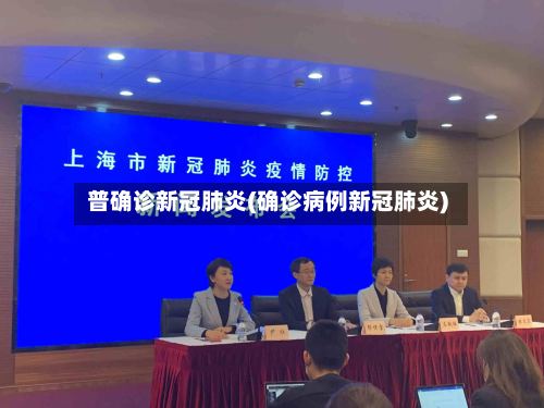 普确诊新冠肺炎(确诊病例新冠肺炎)-第2张图片