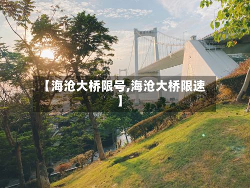 【海沧大桥限号,海沧大桥限速】-第2张图片