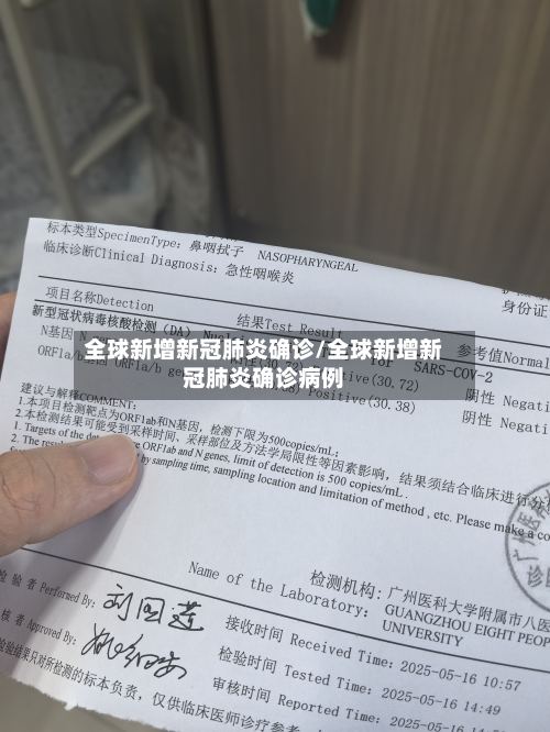 全球新增新冠肺炎确诊/全球新增新冠肺炎确诊病例