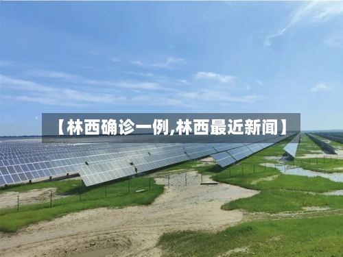 【林西确诊一例,林西最近新闻】