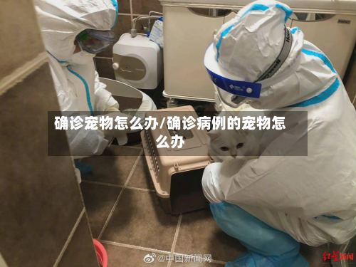 确诊宠物怎么办/确诊病例的宠物怎么办