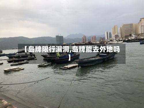 【岛牌限行漏洞,岛牌能去外地吗】-第2张图片