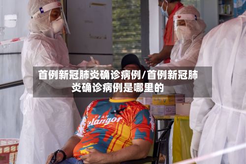 首例新冠肺炎确诊病例/首例新冠肺炎确诊病例是哪里的