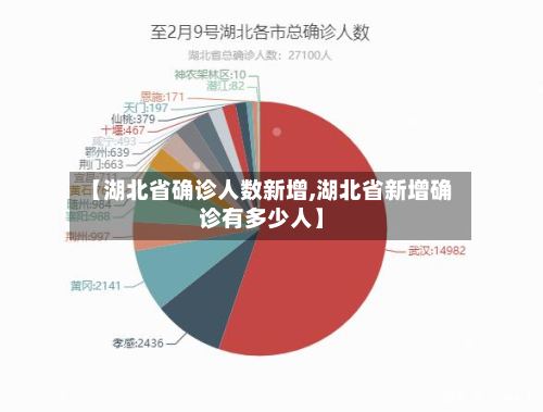 【湖北省确诊人数新增,湖北省新增确诊有多少人】-第3张图片