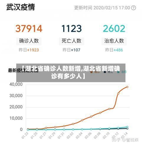 【湖北省确诊人数新增,湖北省新增确诊有多少人】