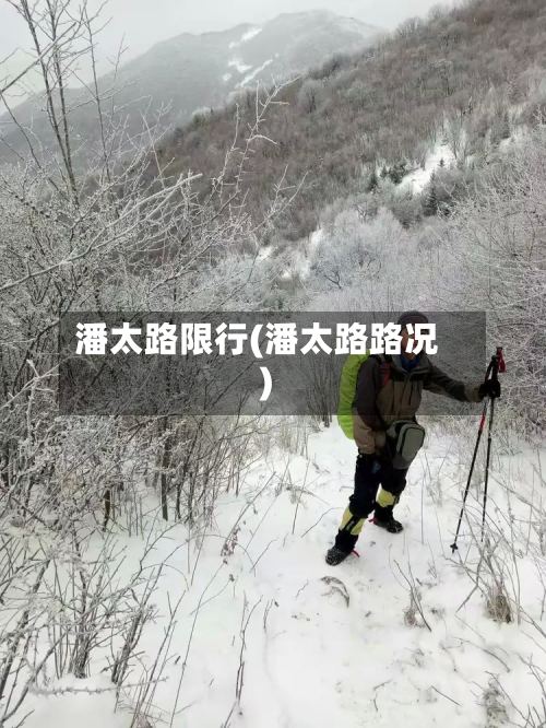 潘太路限行(潘太路路况)-第3张图片