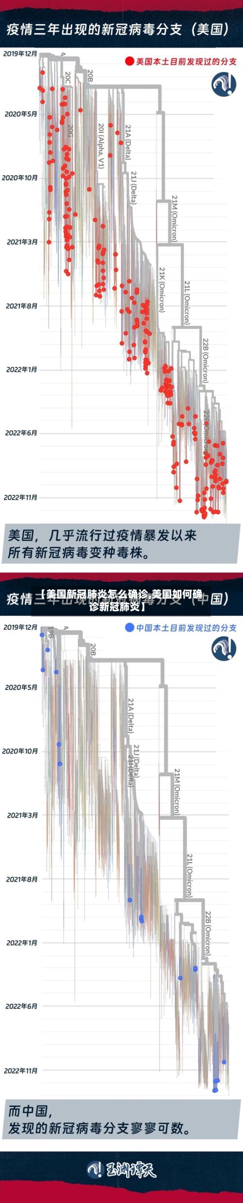 【美国新冠肺炎怎么确诊,美国如何确诊新冠肺炎】-第3张图片