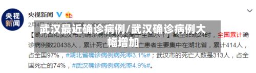 武汉最近确诊病例/武汉确诊病例大幅增加-第3张图片