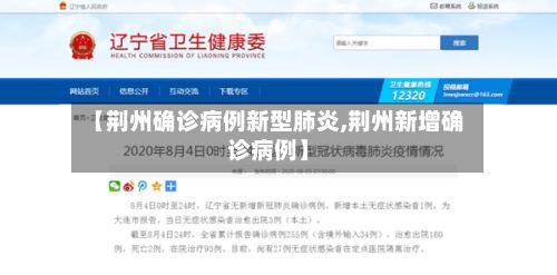 【荆州确诊病例新型肺炎,荆州新增确诊病例】