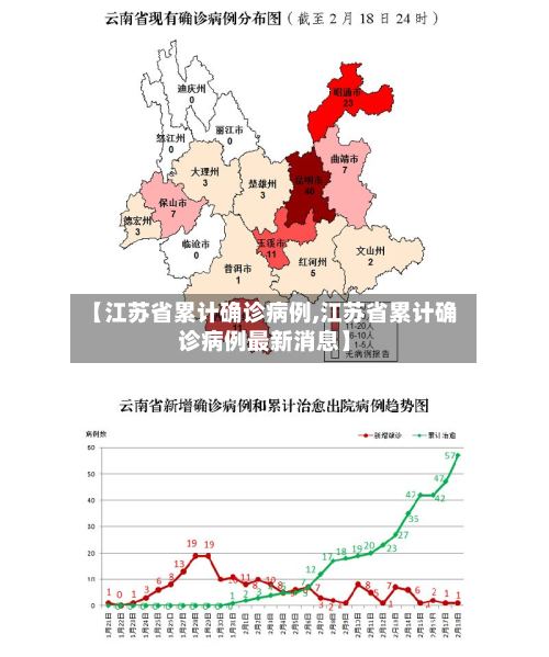 【江苏省累计确诊病例,江苏省累计确诊病例最新消息】-第3张图片