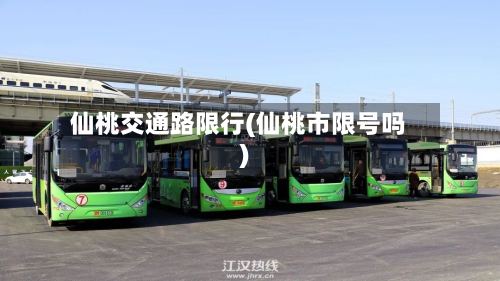 仙桃交通路限行(仙桃市限号吗)-第2张图片