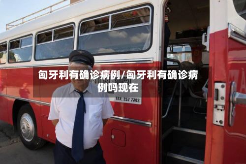 匈牙利有确诊病例/匈牙利有确诊病例吗现在-第3张图片