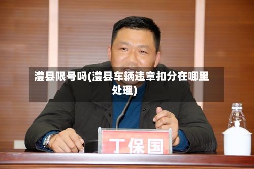 澧县限号吗(澧县车辆违章扣分在哪里处理)