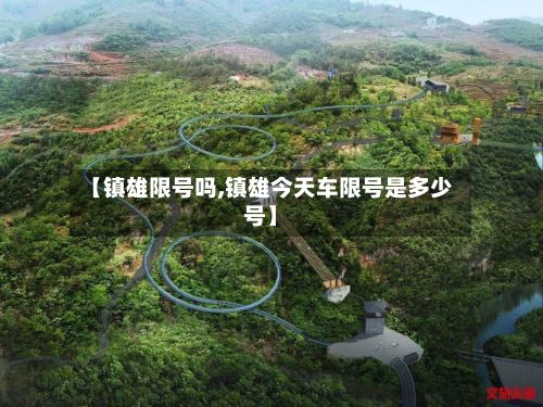【镇雄限号吗,镇雄今天车限号是多少号】-第3张图片