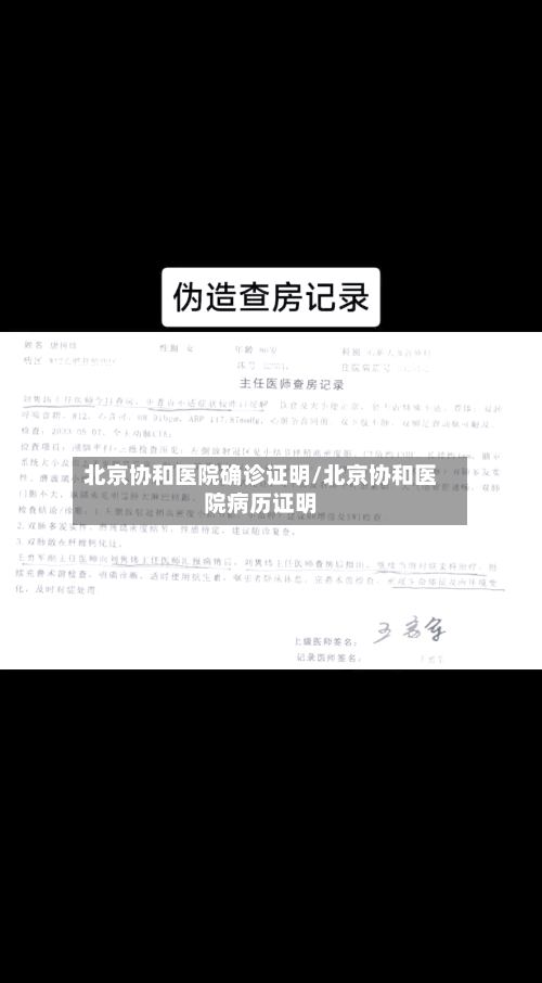 北京协和医院确诊证明/北京协和医院病历证明-第2张图片