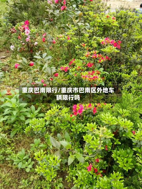 重庆巴南限行/重庆市巴南区外地车辆限行吗-第2张图片