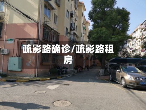 疏影路确诊/疏影路租房