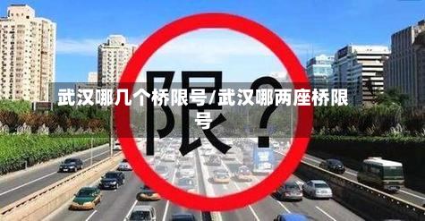 武汉哪几个桥限号/武汉哪两座桥限号-第3张图片