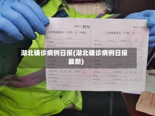 湖北确诊病例日报(湖北确诊病例日报最新)-第2张图片