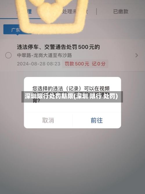 深圳限行处罚期限(深圳 限行 处罚)