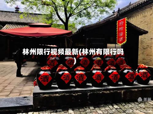 林州限行视频最新(林州有限行吗)-第2张图片