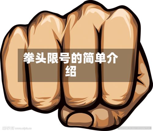 拳头限号的简单介绍
