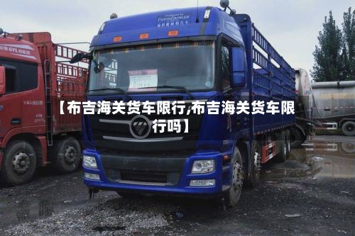 【布吉海关货车限行,布吉海关货车限行吗】-第3张图片