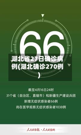 湖北省27日确诊病例(湖北确诊270例)